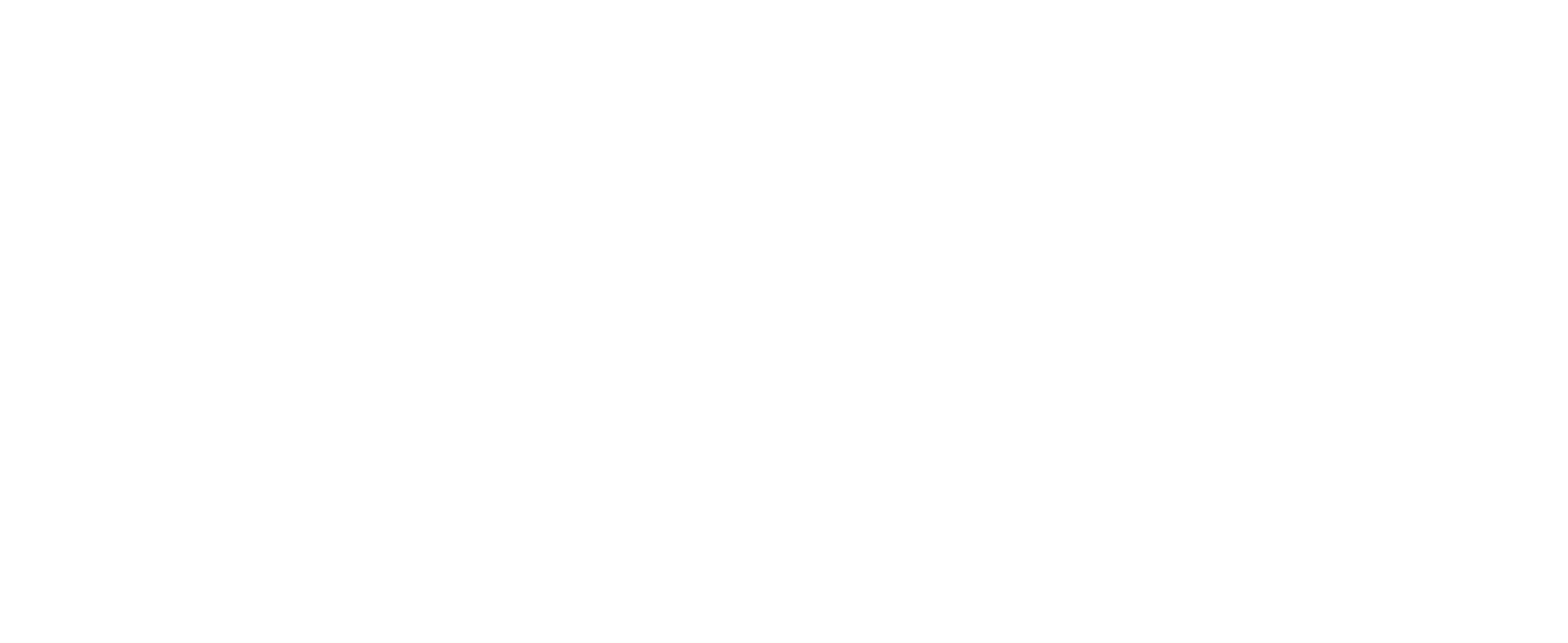 Burunuboma Logo