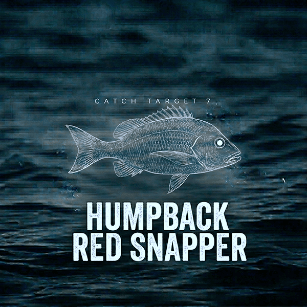 Humpback Red Snapper