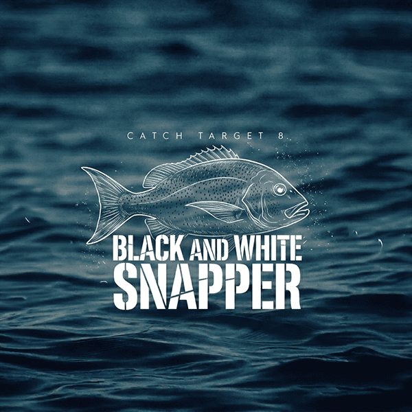 Black and White Snapper